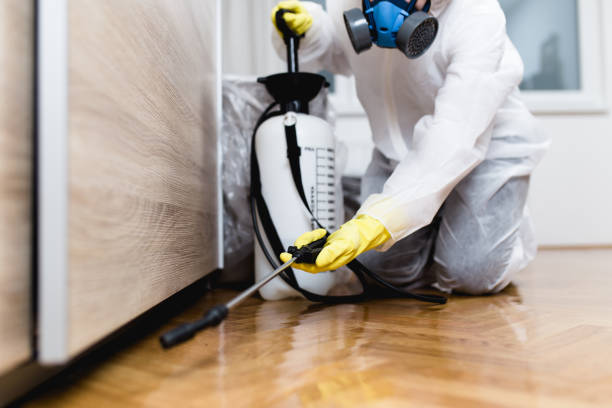 Best Affordable Pest Control Services  in Riverton, WY