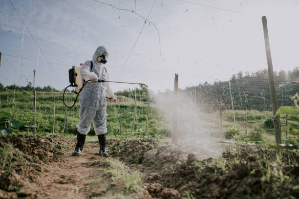 Best Pest Prevention Services  in Riverton, WY