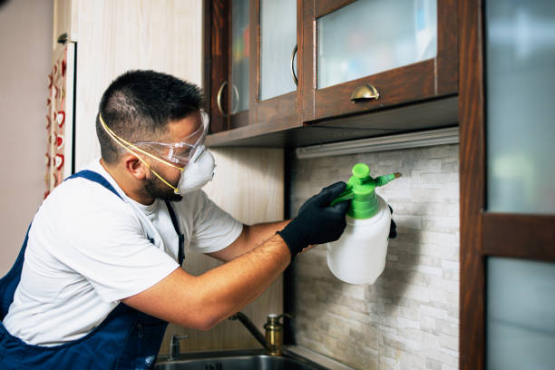 Best Best Pest Control Companies  in Riverton, WY