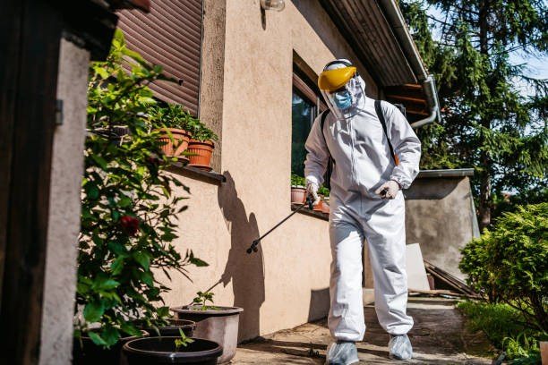 Best Rodent Control Near Me  in Riverton, WY