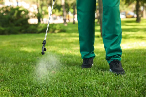 Best Bed Bug Extermination  in Riverton, WY