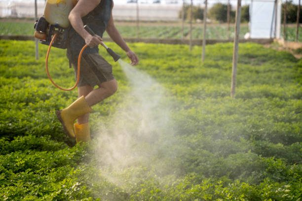 Best Pest Prevention Services  in Riverton, WY