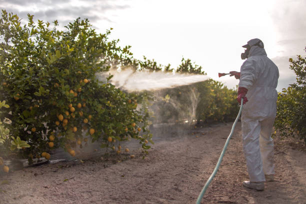 Best Best Pest Control Near Me  in Riverton, WY